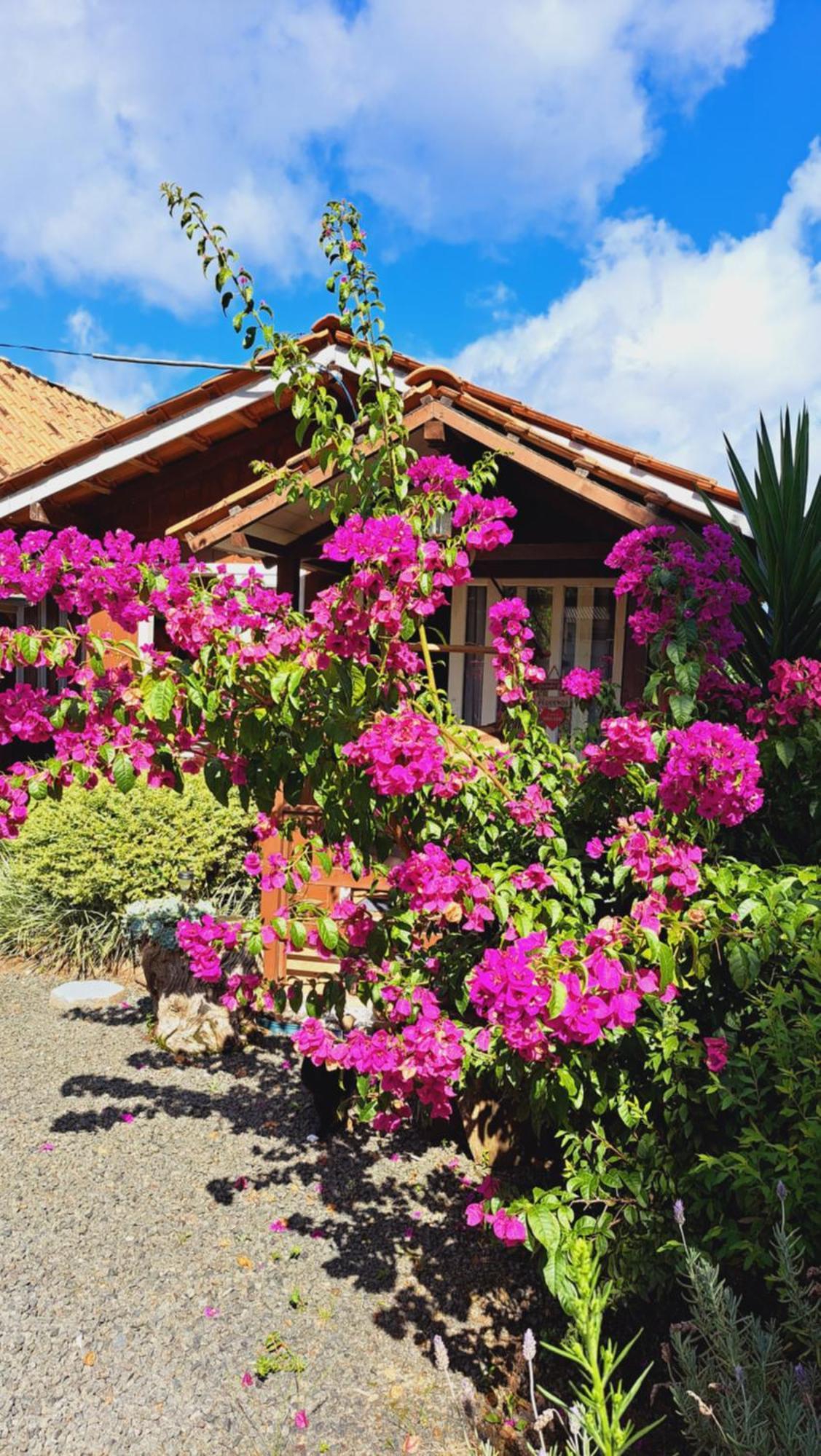 Chalés Doce Luar casas de temporada Urubici Habitación foto